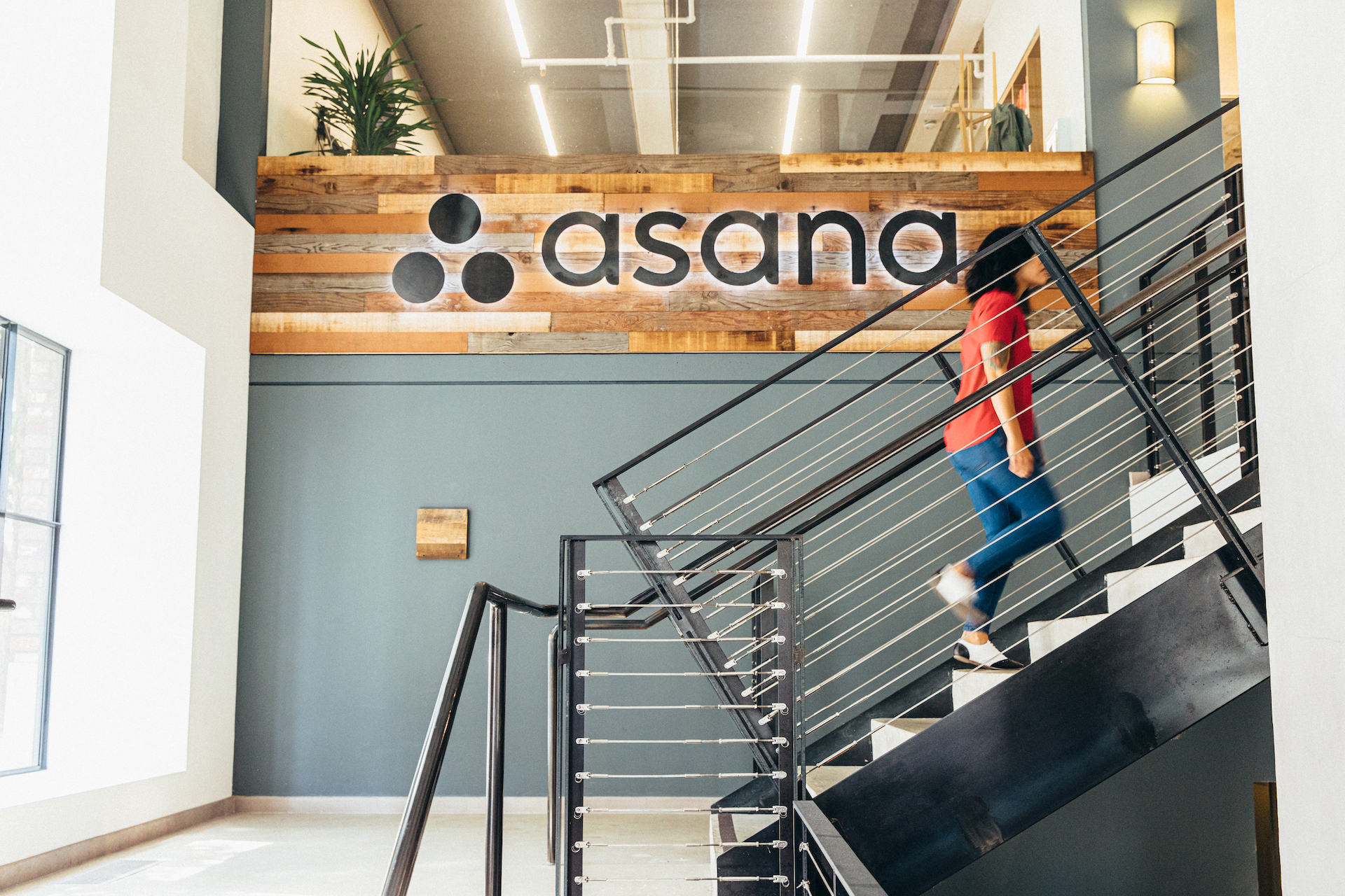 Asana for One: Project Management When You Are Running Solo